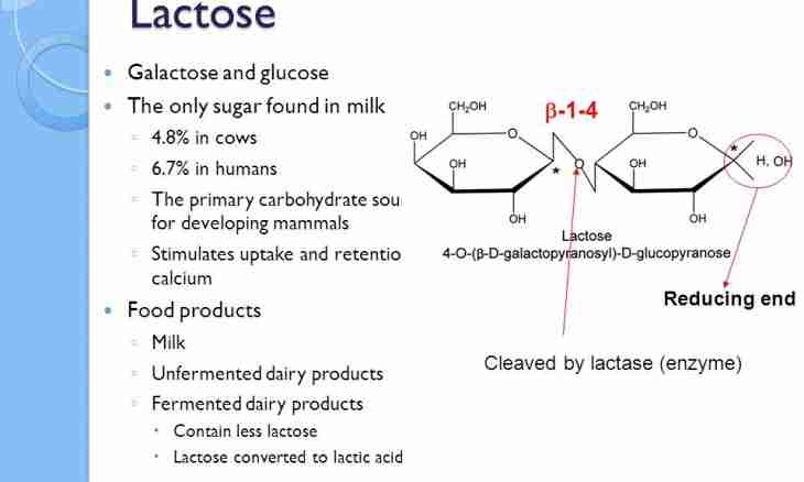 What is a galactose